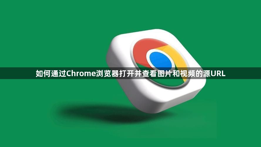 如何通过Chrome浏览器打开并查看图片和视频的源URL1