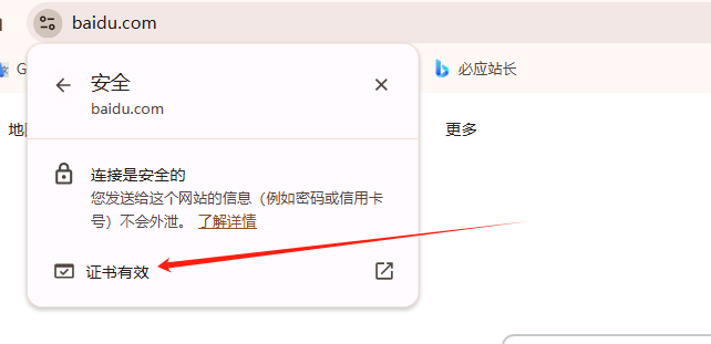 如何查看Chrome浏览器中的安全证书信息4