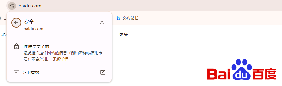 如何查看Chrome浏览器中的安全证书信息6