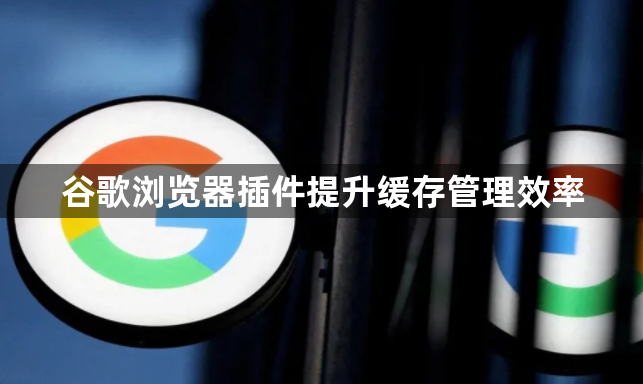 谷歌浏览器插件提升缓存管理效率1