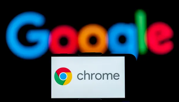 Google Chrome浏览器下载安装及插件安装指导1