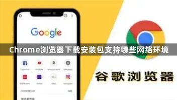 Chrome浏览器下载安装包支持哪些网络环境1
