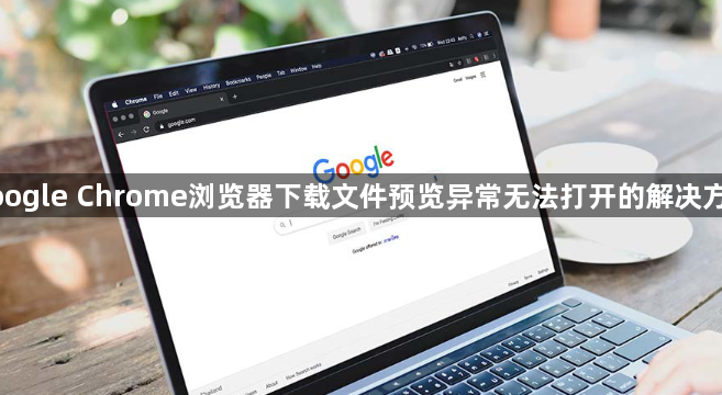 google Chrome浏览器下载文件预览异常无法打开的解决方法1