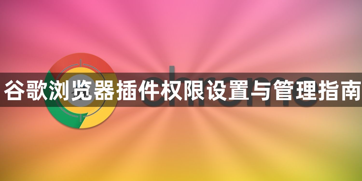 谷歌浏览器插件权限设置与管理指南1