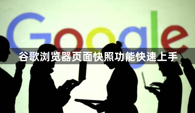 谷歌浏览器页面快照功能快速上手1