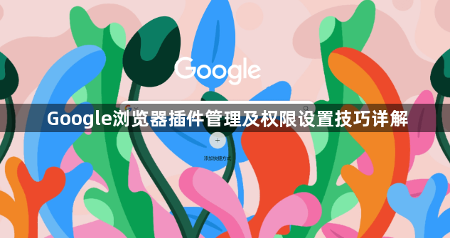 Google浏览器插件管理及权限设置技巧详解1
