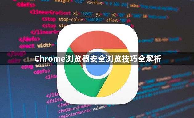 Chrome浏览器安全浏览技巧全解析1