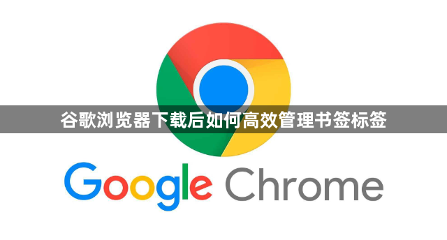 谷歌浏览器下载后如何高效管理书签标签1