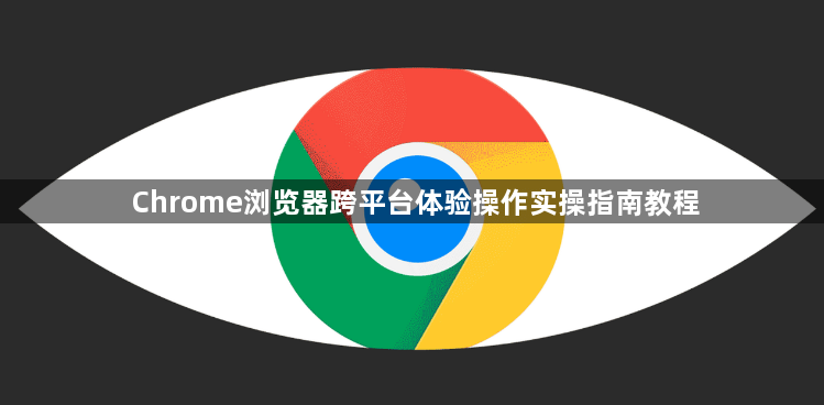 Chrome浏览器跨平台体验操作实操指南教程1