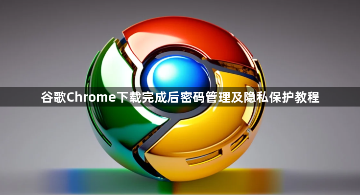 谷歌Chrome下载完成后密码管理及隐私保护教程1