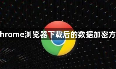 Chrome浏览器下载后的数据加密方法1