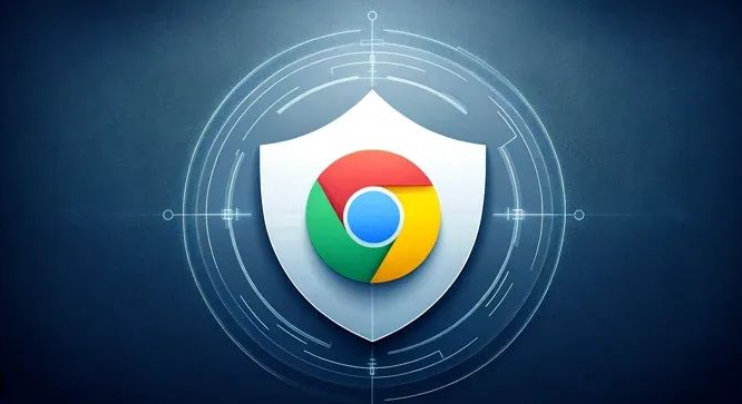 Chrome浏览器下载后网页插件使用权限设置教程