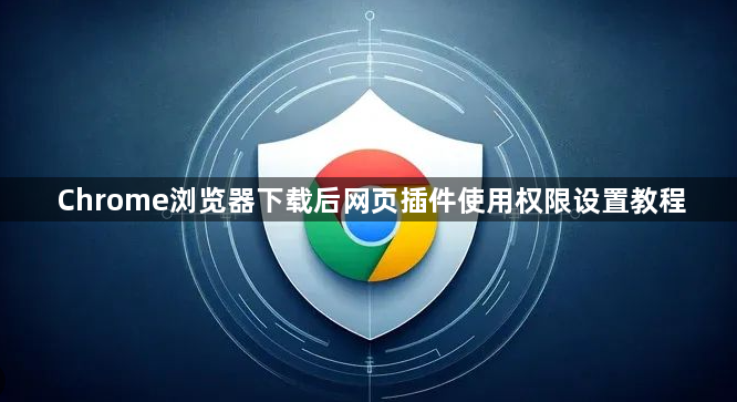 Chrome浏览器下载后网页插件使用权限设置教程1